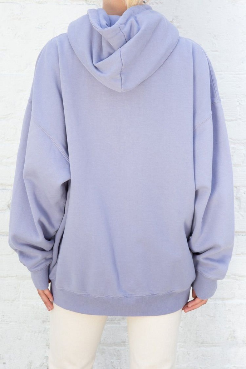 Sweat a Capuche Brandy Melville Christy Lavande | JTM-17787641